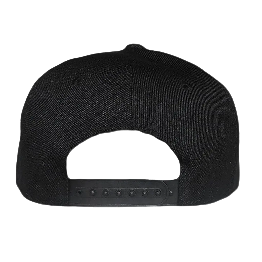 Classic Dad Cap Back.webp