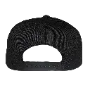 Classic Dad Cap Back.webp